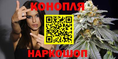 гашик Кунгур