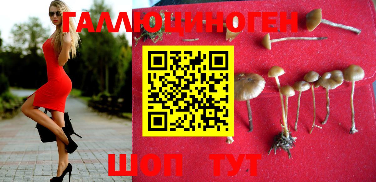 Галлюциногенные грибы GOLDEN TEACHER Ивантеевка